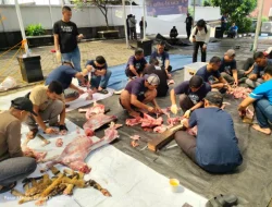 Sinergi Lintas Cabang, BRI Area Warung Buncit Sukses Gelar Penyembelihan Hewan Kurban