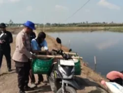 Ditpolairud Polda Metro Jaya Tebar 300 Ribu Benih Udang Windu di Muaragembong Bekasi