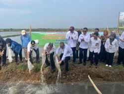 Minapadi Salin sebagai Pengembangan Padi Biosalin, PGN-BRIN Tingkatkan Produktivitas dan Nilai Ekonomi Pesisir Batang