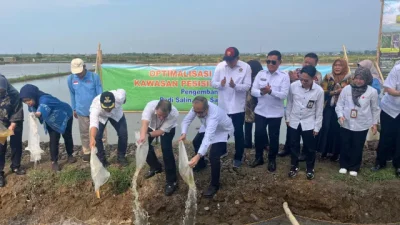 Minapadi Salin sebagai Pengembangan Padi Biosalin, PGN-BRIN Tingkatkan Produktivitas dan Nilai Ekonomi Pesisir Batang
