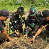 Program TMMD Ke-129 Hijaukan Desa, Warga dan Aparatur Desa Wibawamulya Tanam Ratusan Pohon