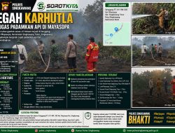 Kebakaran Lahan Gambut Seluas 5 Hektare Terjadi di Mayasopa Singkawang, Petugas Bergerak Padamkan Api