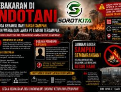 Kebakaran di INDOTANI Diduga Berawal Dari Bakar Sampah, Kebun Warga Dan Lahan PT Limpah Terdampak