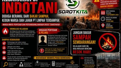 Kebakaran di INDOTANI Diduga Berawal Dari Bakar Sampah, Kebun Warga Dan Lahan PT Limpah Terdampak