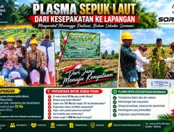 Plasma Sepuk Laut: Target 200 Hektare, Kini Baru 53 Hektare — Kesepakatan Jangan Berhenti Di Atas Kertas