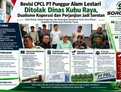 Revisi CPCL PT Punggur Alam Lestari Ditolak Dinas Kubu Raya, Dualisme Koperasi dan Perjanjian Jadi Sorotan