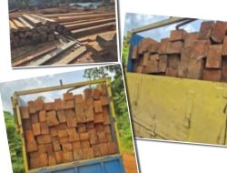 Terkait Dugaan Illegal Logging di Sandai, Eko dan Kanit Intel Polsek Beri Penjelasan
