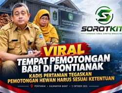 Viral Tempat Pemotongan Babi Di Pontianak, Kadis Pertanian Tegaskan Pemotongan Hewan Harus Sesuai Ketentuan